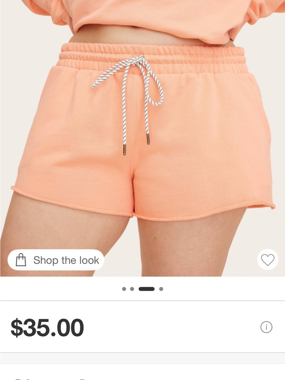 Parke women’s Drawstring Shorts Size S
